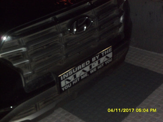 INSURED BY THE MAFIA Magnetic Custom Plate