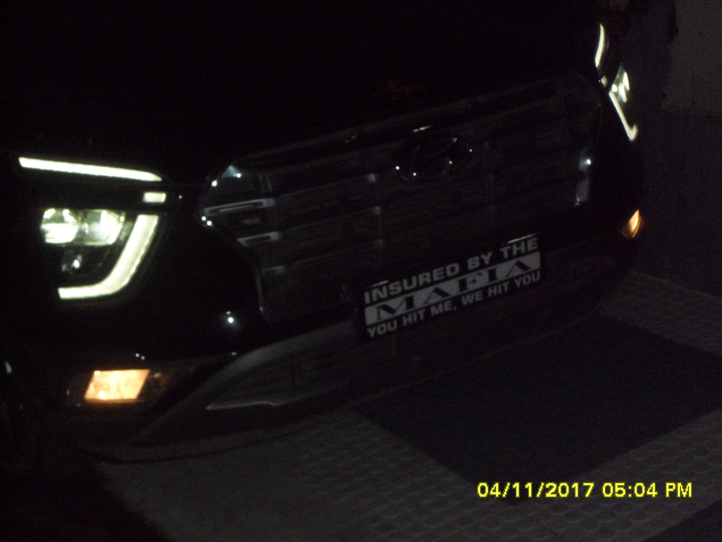 INSURED BY THE MAFIA Magnetic Custom Plate